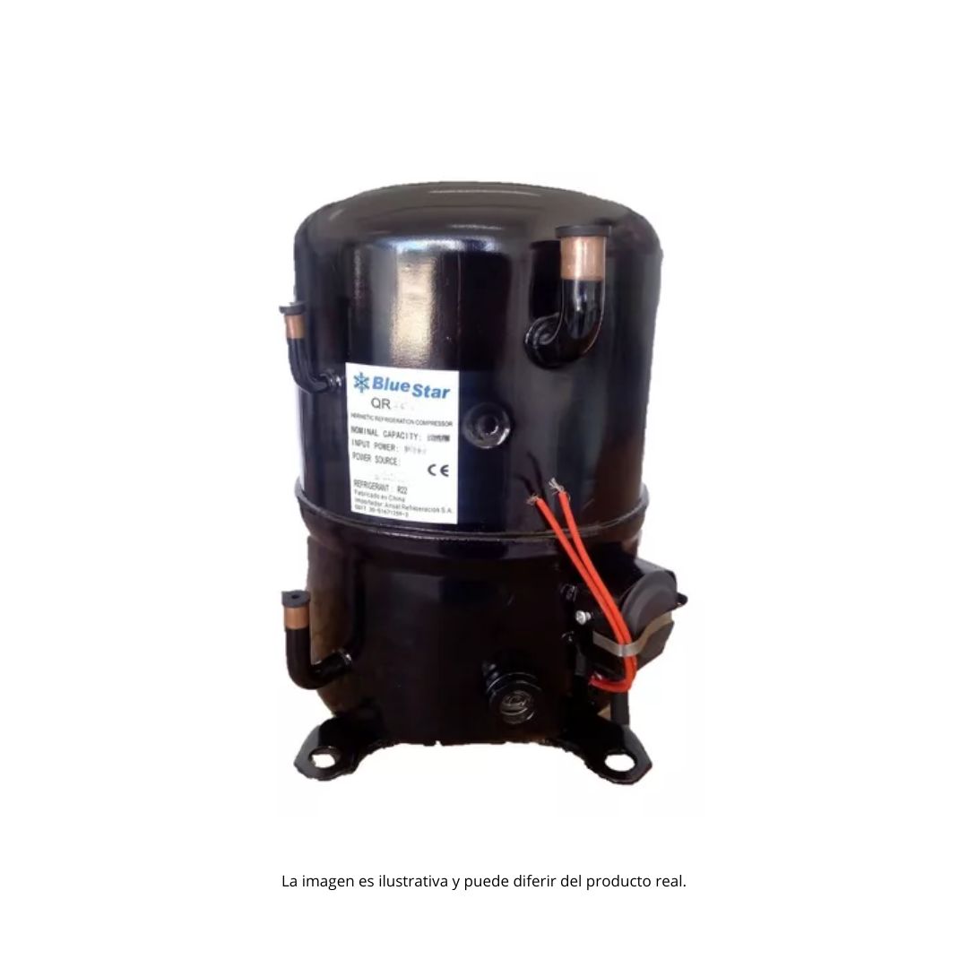 Motor Elect.BlueStar ECM20A230-IP66-----